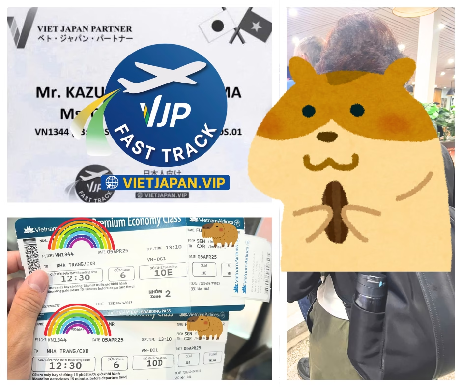 VN1344 Flight Information | Ho Chi Minh to Nha Trang | Tan Son Nhat Departure Guide